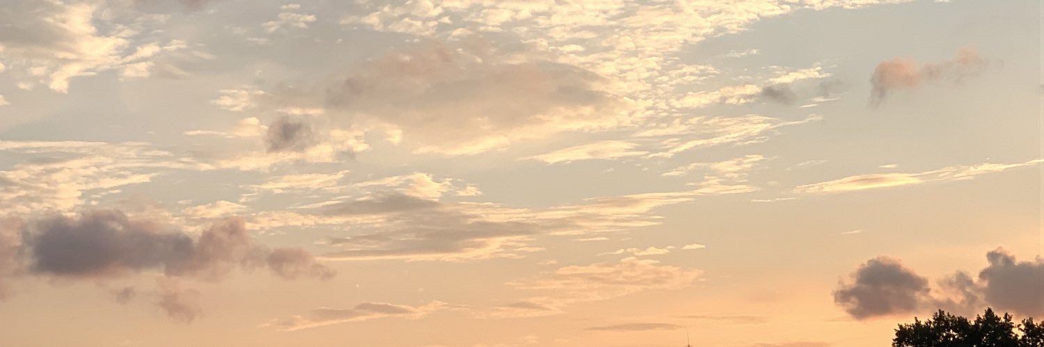 hylttacx's profile banner image
