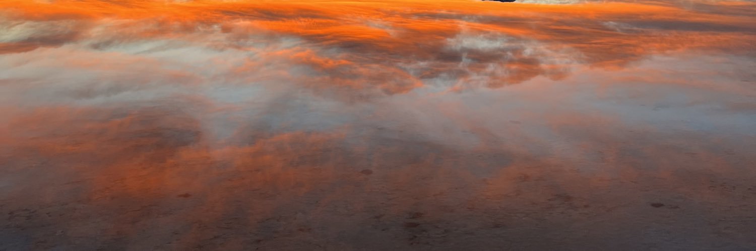_abigailriley's profile banner image