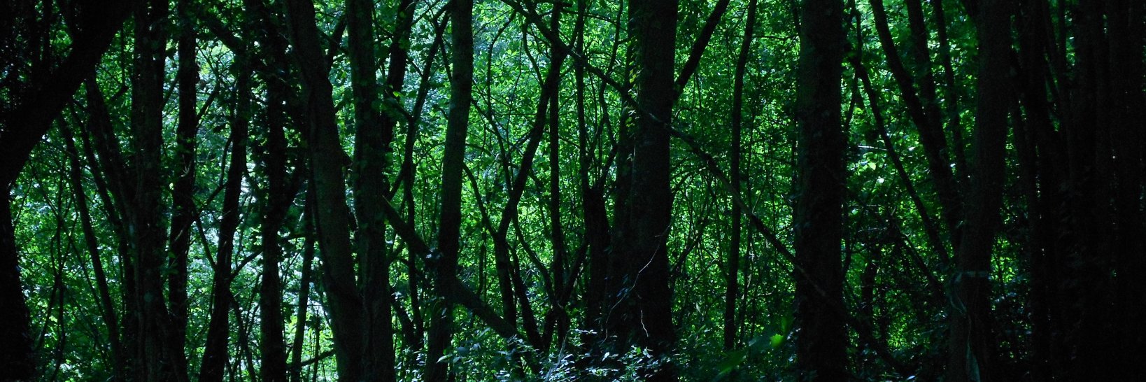 anaN2B's profile banner image
