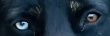 IceOfNorth's profile banner image