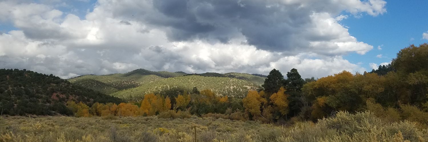 paznow's profile banner image