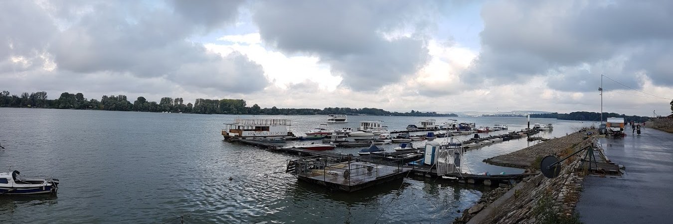 Predrag Brajovic banner