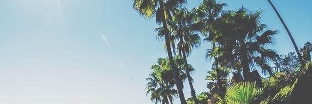 gerbendahl's profile banner image
