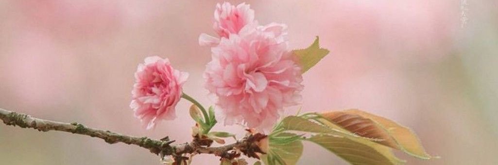 3atima's profile banner image