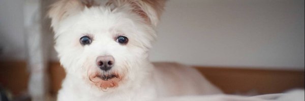 tumso9ood Profile Banner
