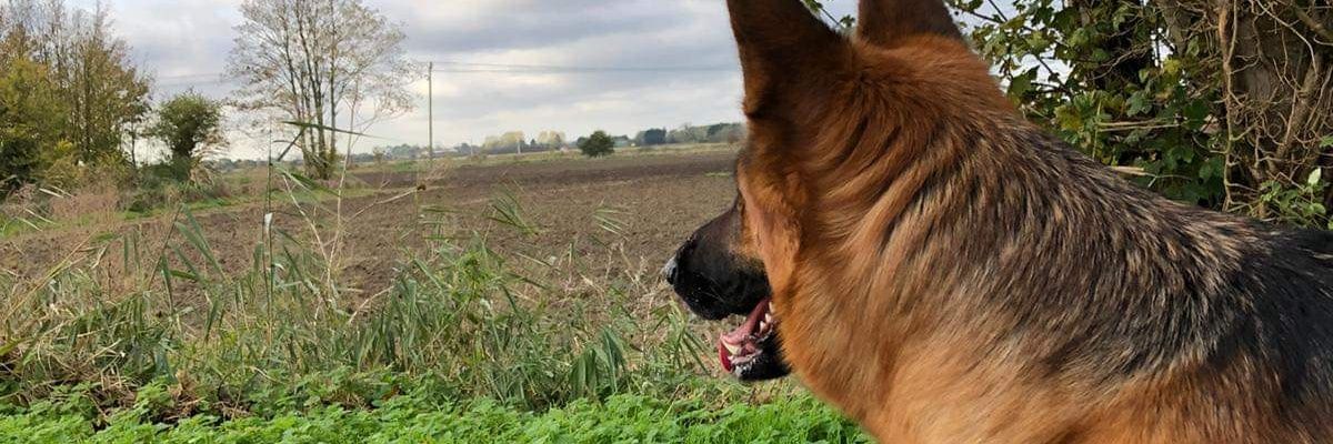 MyerzzD's profile banner image