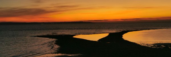 semtexsue Profile Banner