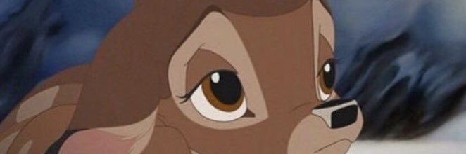 maryamsayed_'s profile banner image
