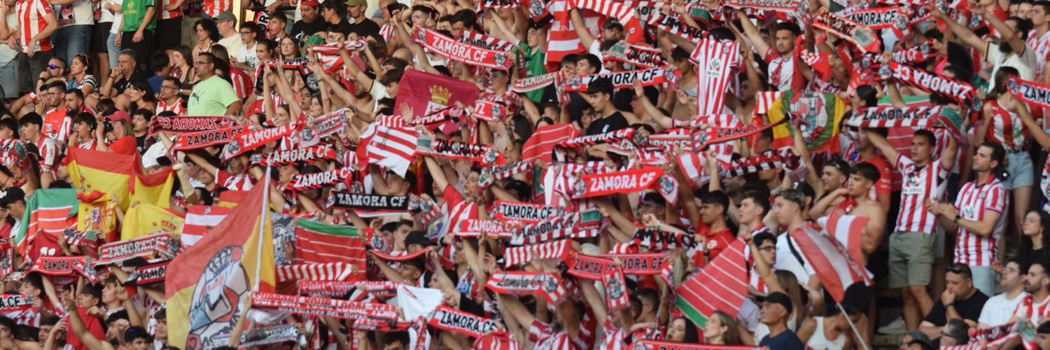 Zamora CF banner