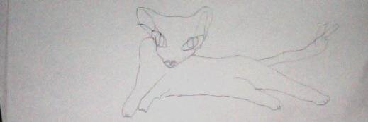 4licialane's profile banner image