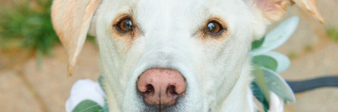 evafmaricela's profile banner image