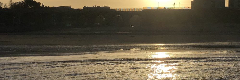 Councillor Cathal Boland banner