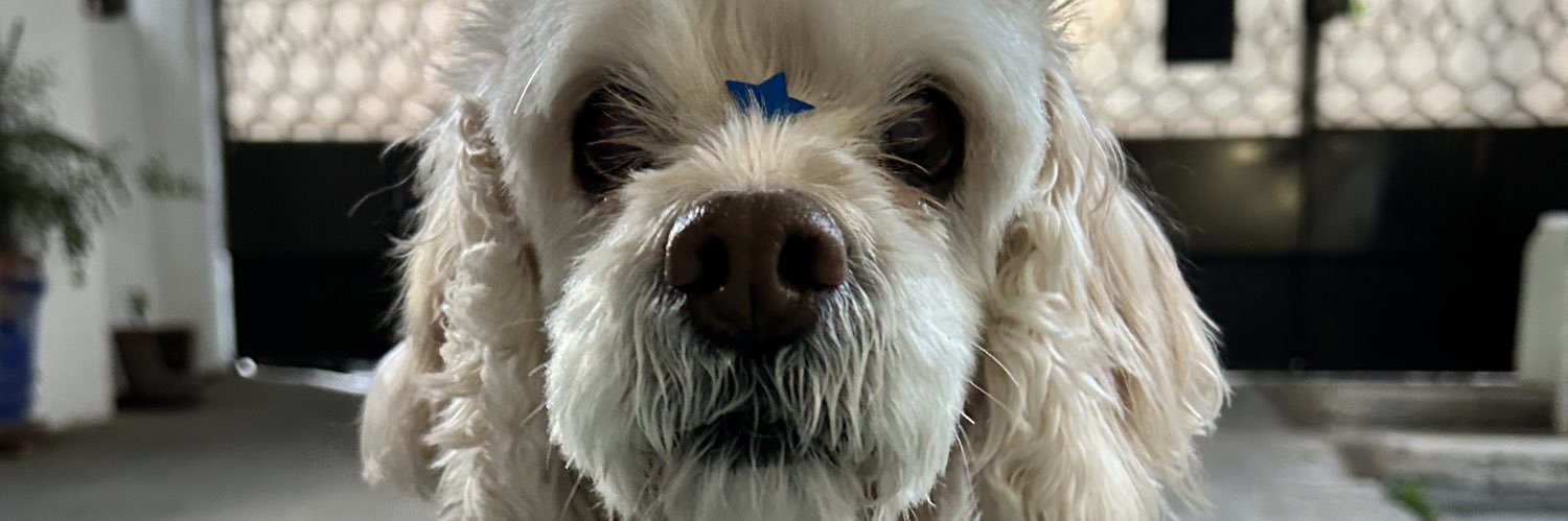 𝘢𝘳𝘢𝘯𝘵𝘻𝘢 banner