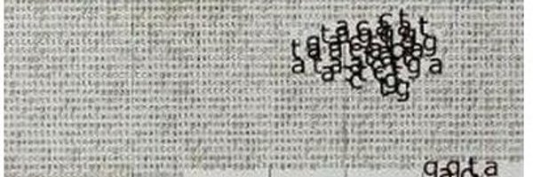 pauljaussen Profile Banner