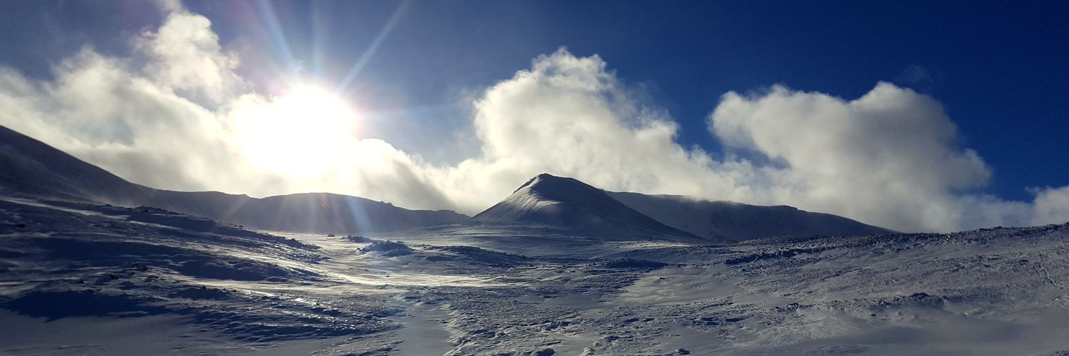 paul_barty's profile banner image