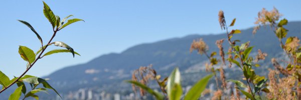 FIBaillet Profile Banner