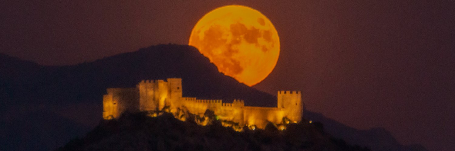 FerZerg's profile banner image