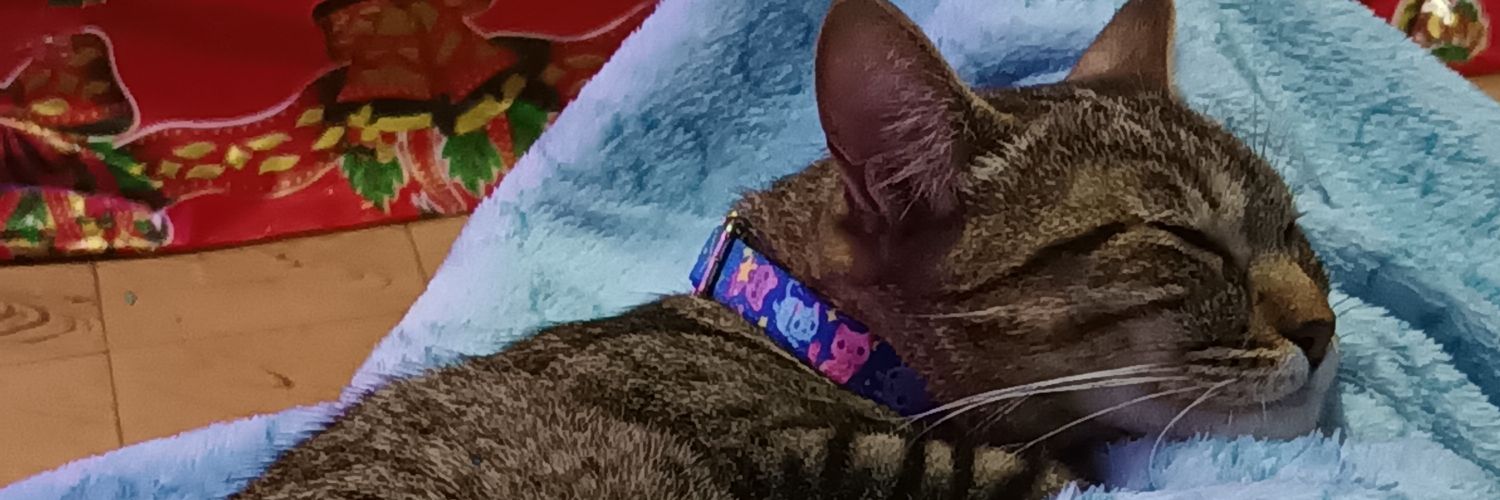 Fabi Hernández(Sam) banner