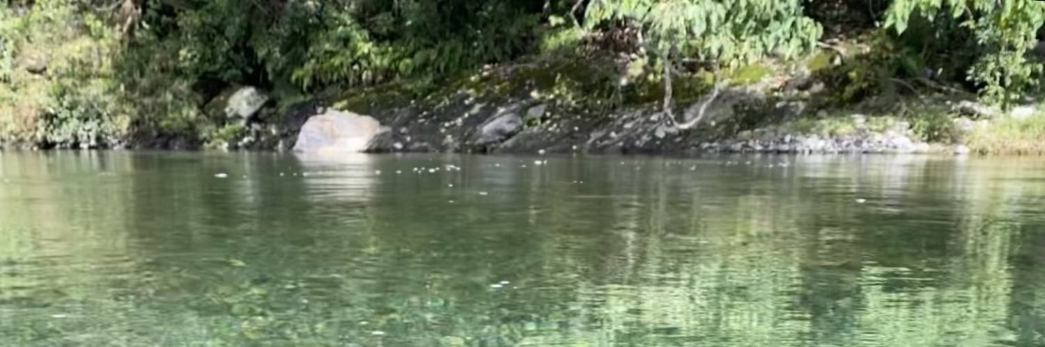 しぶちょす△ banner