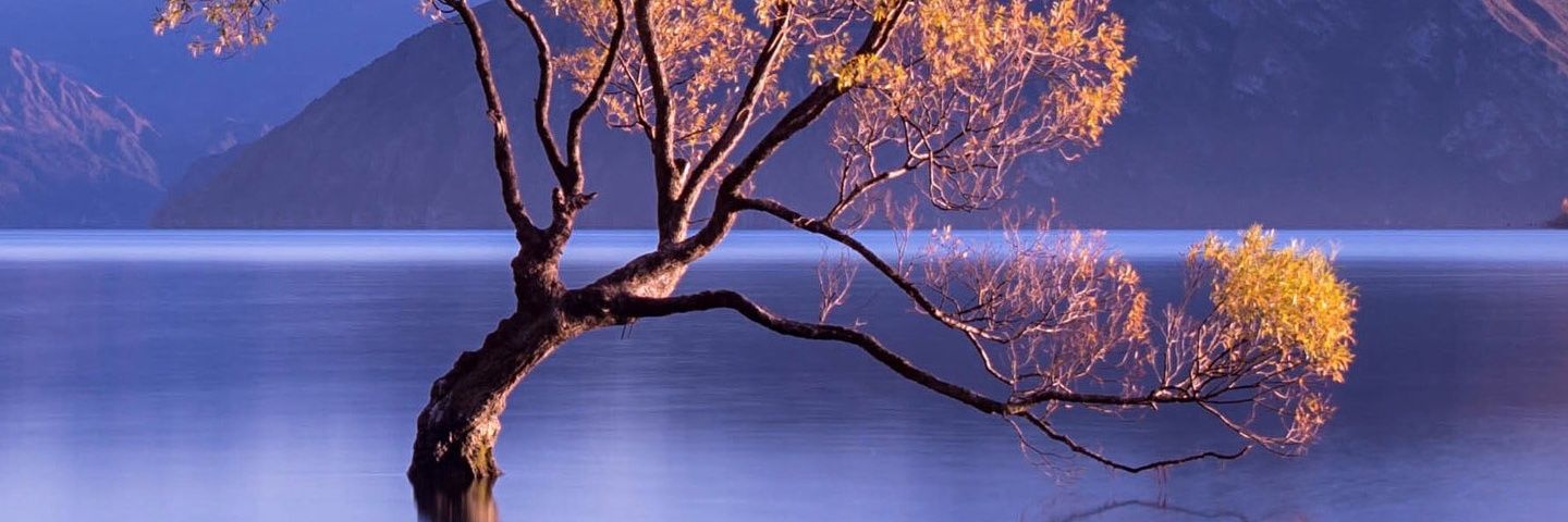 naydinnn's profile banner image