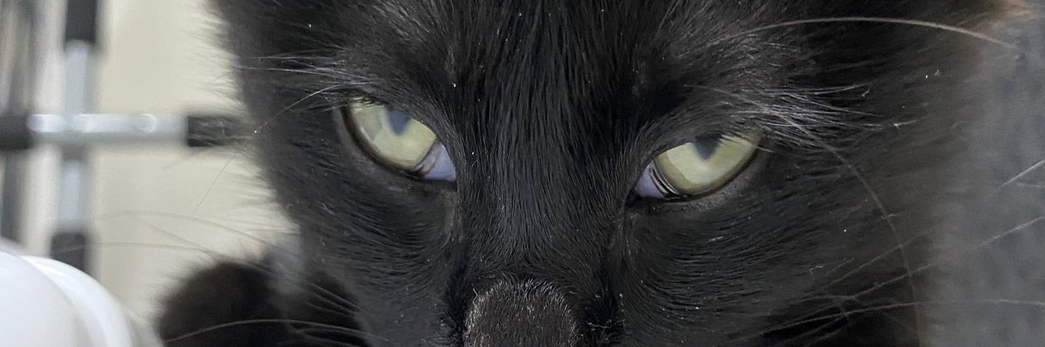 ooohrkt's profile banner image