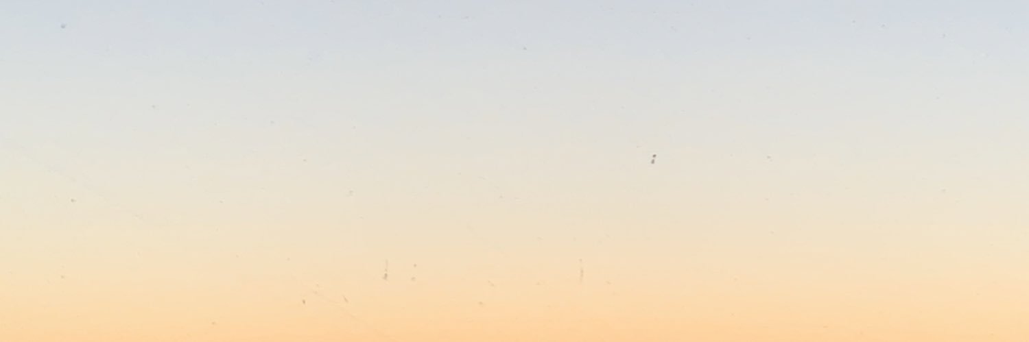 nebiili's profile banner image
