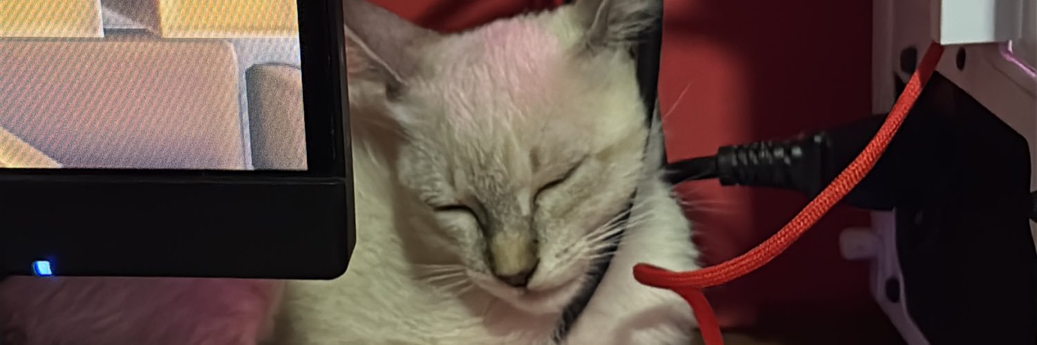 RENATlNHO's profile banner image
