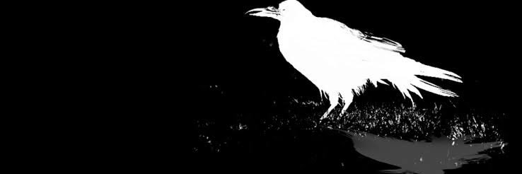 VanirRavenclaw's profile banner image