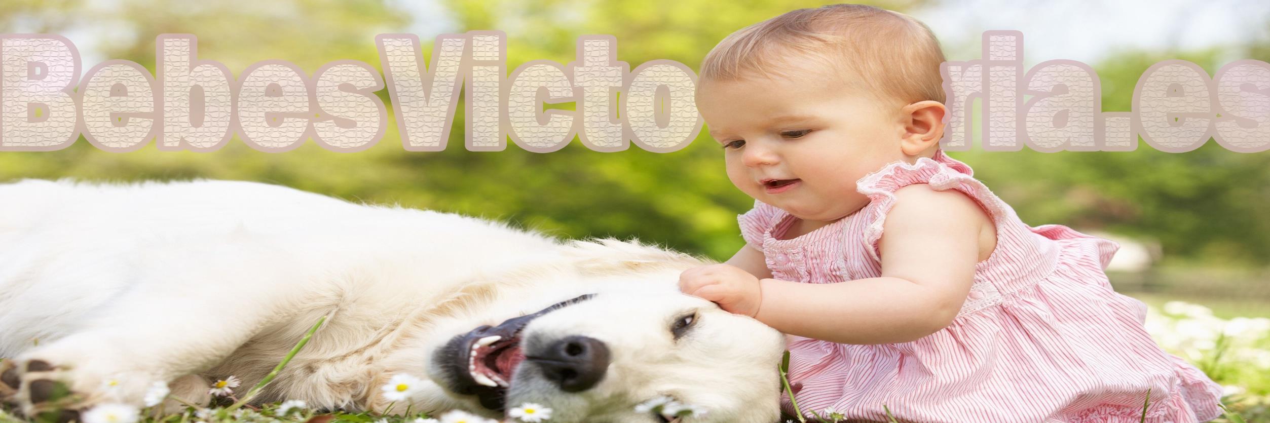 Bebes Victoria banner