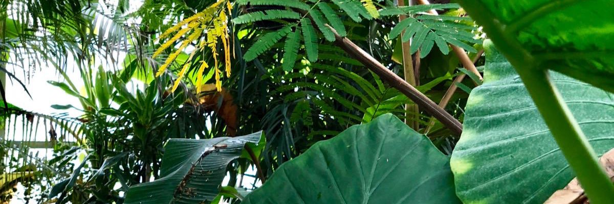 Alex_Marcelle_'s profile banner image