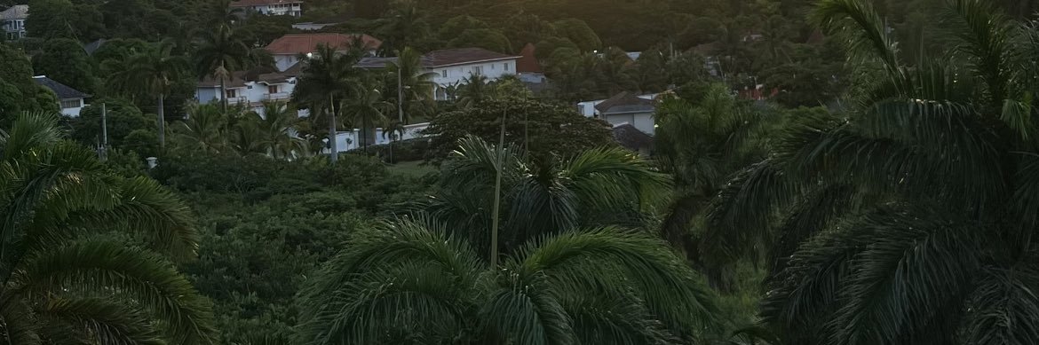 RealTy300's profile banner image