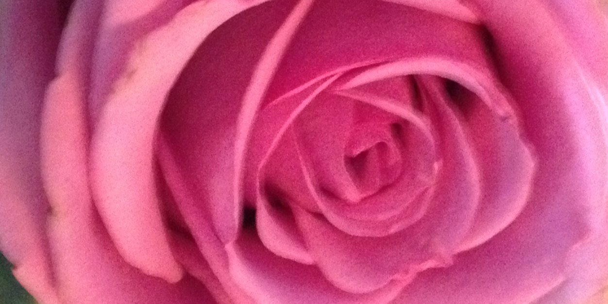lmpetty28's profile banner image
