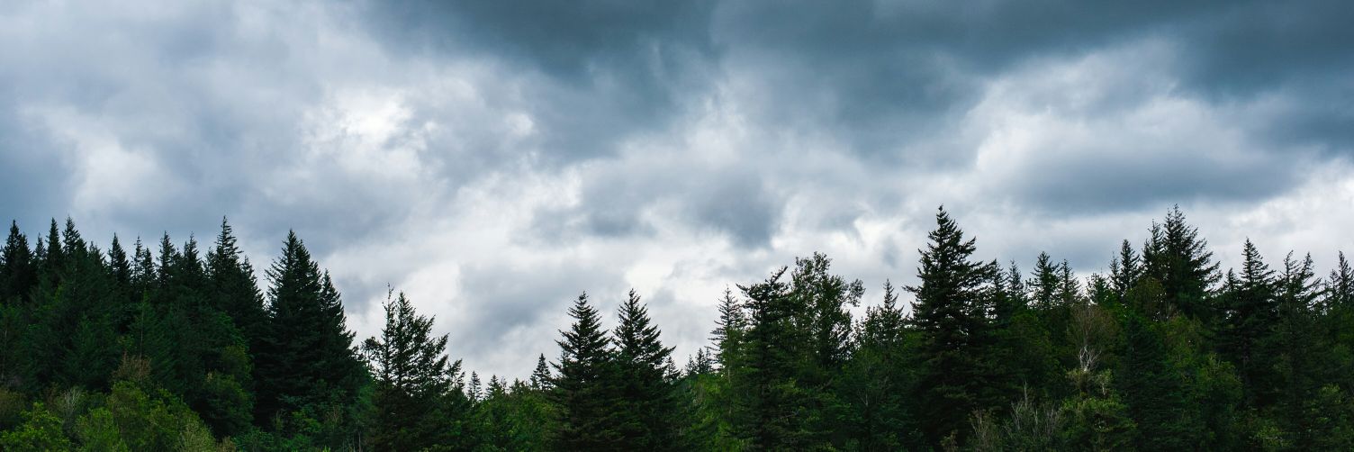 LEckenroad's profile banner image