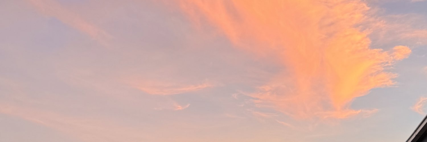 mariecorzo's profile banner image