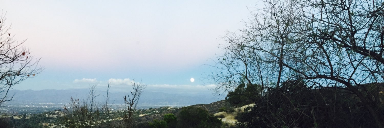 saamadelman's profile banner image