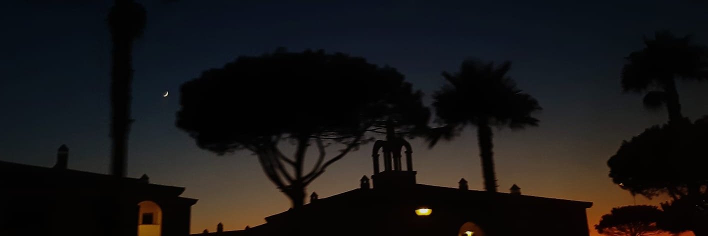 Celia Pérez León banner