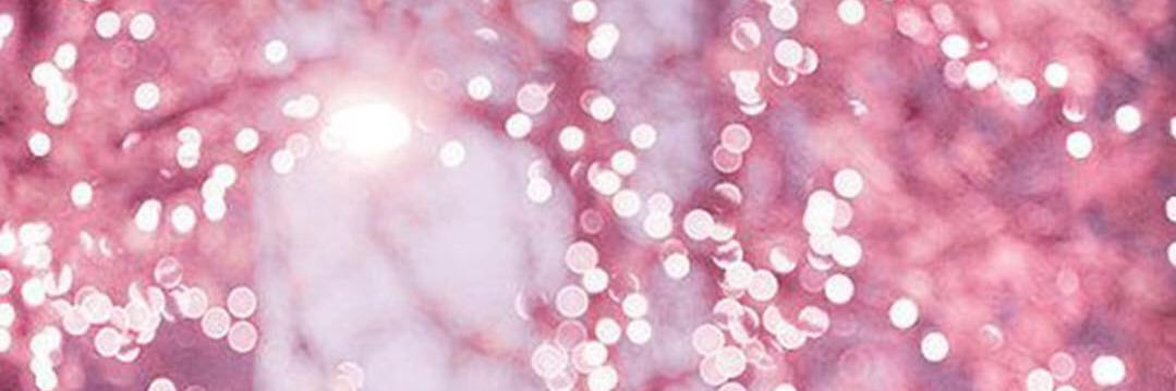 JulianaCadena's profile banner image