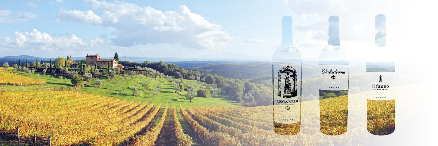 arcanumwines's profile banner image