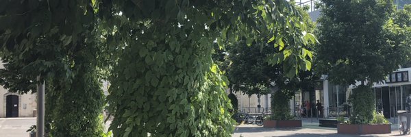 Mari33600 Profile Banner