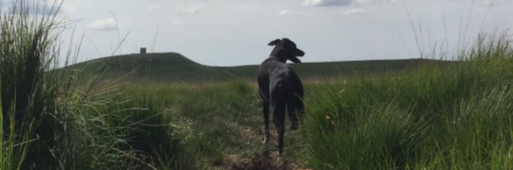MichaelAshwort6's profile banner image