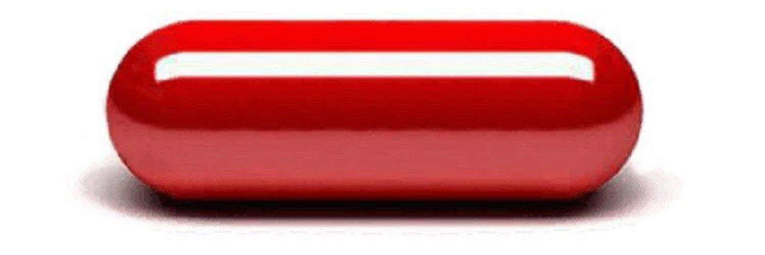 Lauren G 🇺🇸's banner