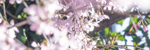 fodesign_jp Profile Banner