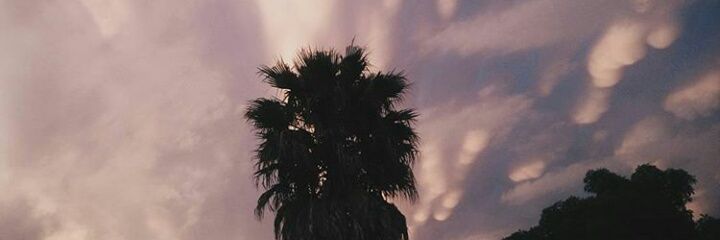 _candeverdino's profile banner image