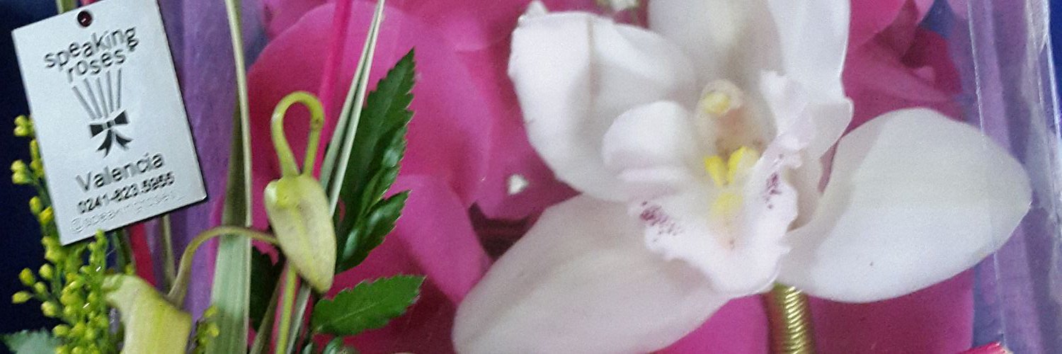 irmamarrero's profile banner image