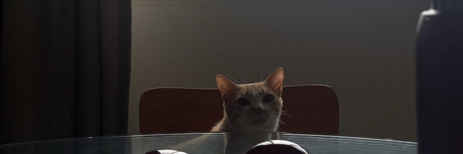 dudadriao's profile banner image