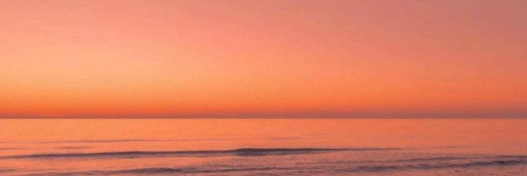 palilantella's profile banner image