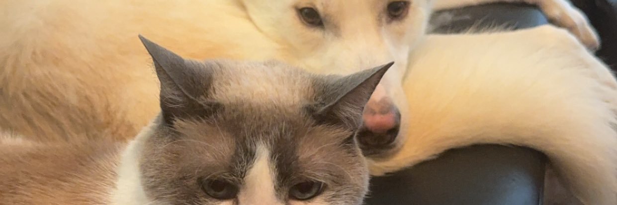 KFletchLive's profile banner image