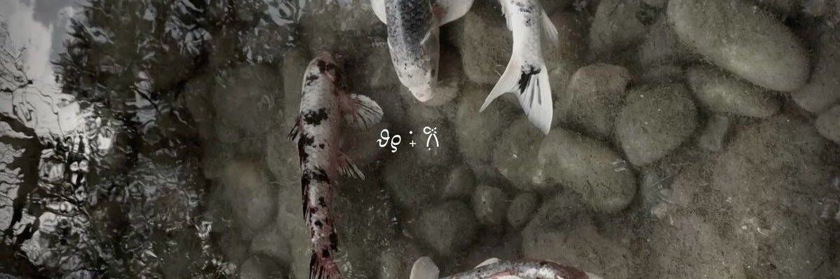 𝐠𝐮𝐭𝐬 banner