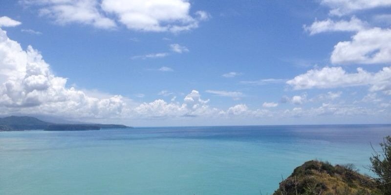 rosascavone's profile banner image