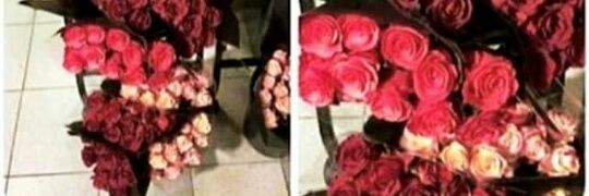 jjamila_'s profile banner image